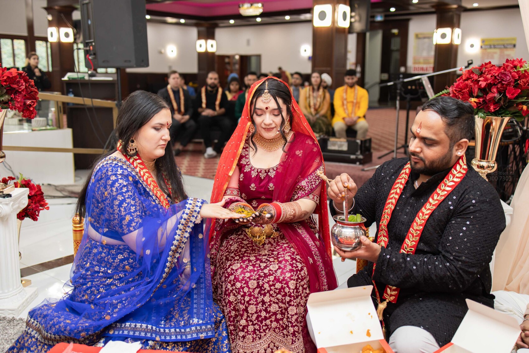 luxury wedding photography canada