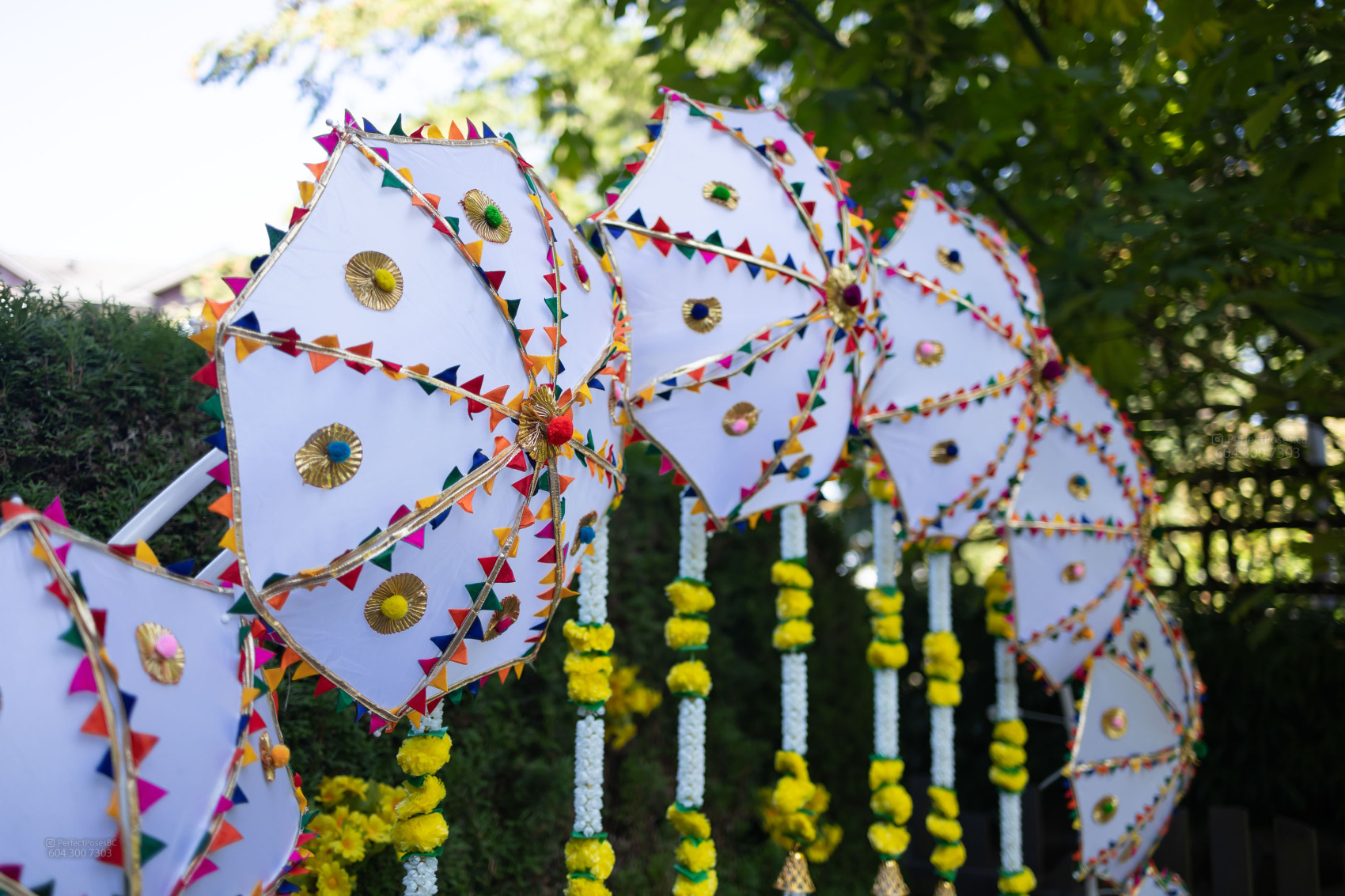 artistic wedding portraits canada